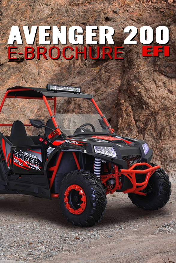 BMS® AVENGER 200 EFI Brochure