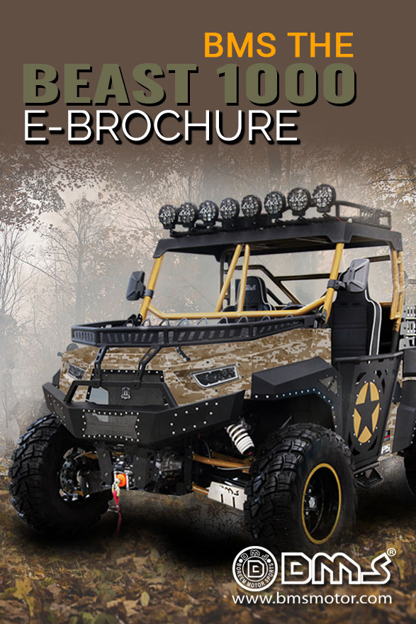 BMS® THE BEAST 1000 EFI 2S Brochure