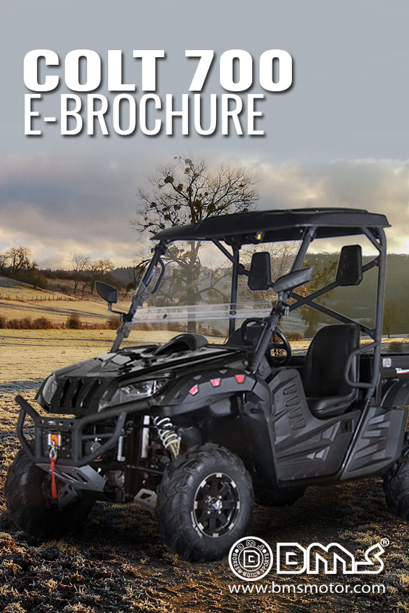 COLT 700 LSX 2S Brochure