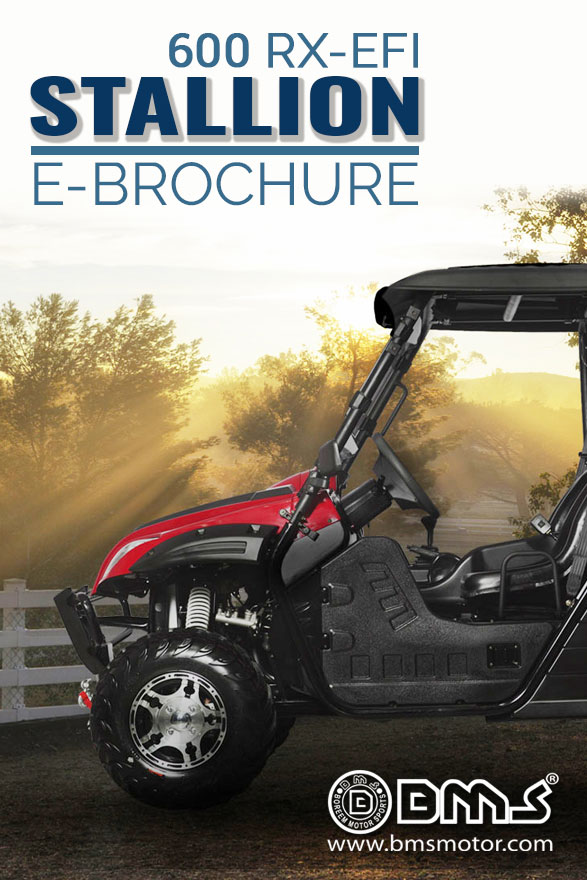 STALLION 600 RX-EFI Brochure