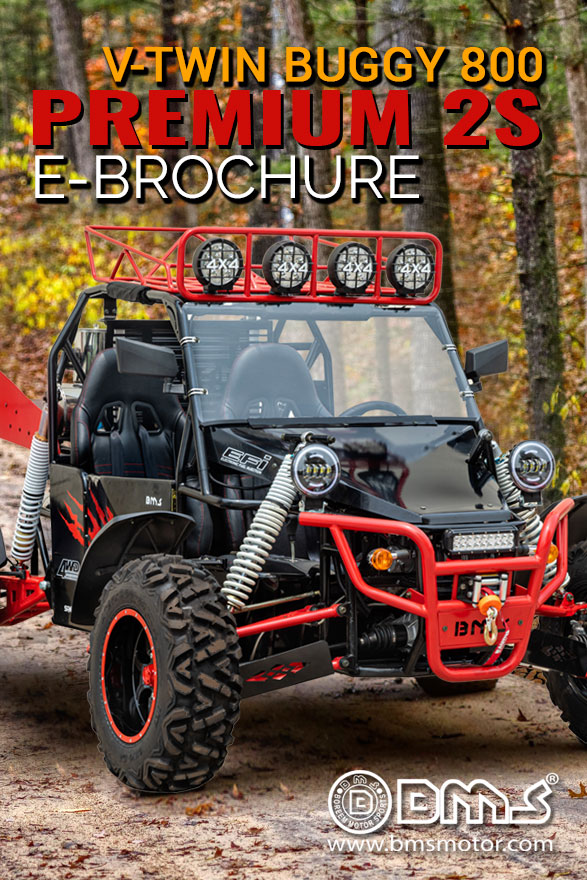 V-TWIN BUGGY 800 PLATINUM 2S Brochure