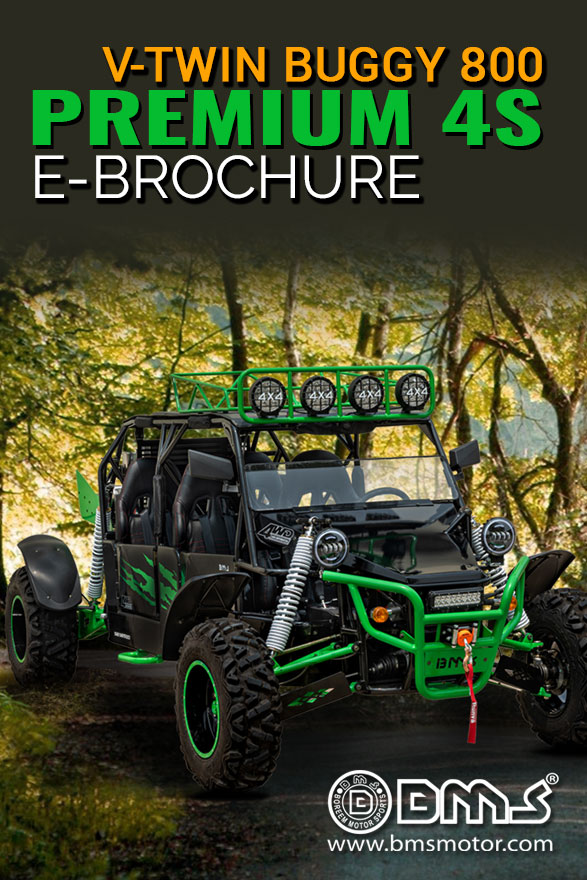 V-TWIN BUGGY 800 PLATINUM 4S Brochure